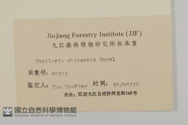 中國繁縷藏品圖，第3張