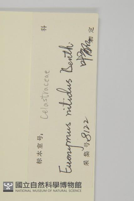 亮葉衛矛、中華衛矛藏品圖，第3張