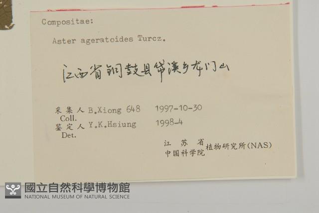 山白蘭藏品圖，第3張