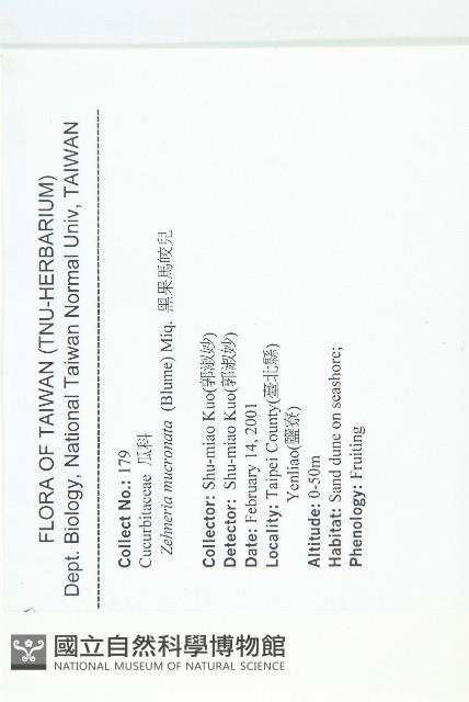 黑果馬交兒藏品圖，第2張