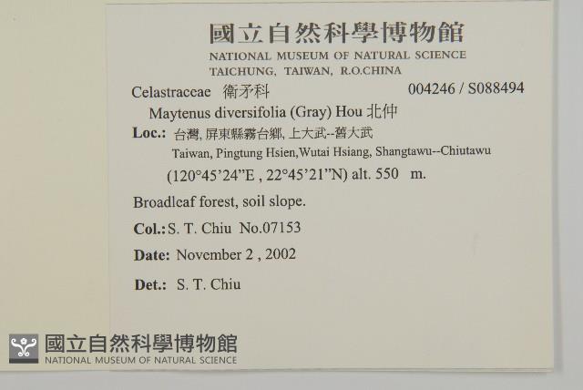 北仲, 刺裸實藏品圖，第2張