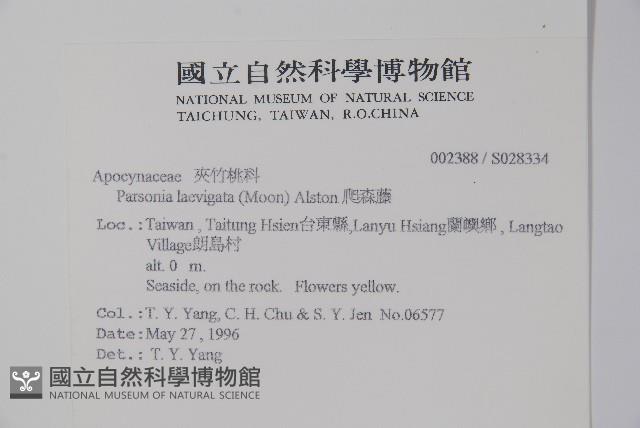 爬森藤藏品圖，第2張