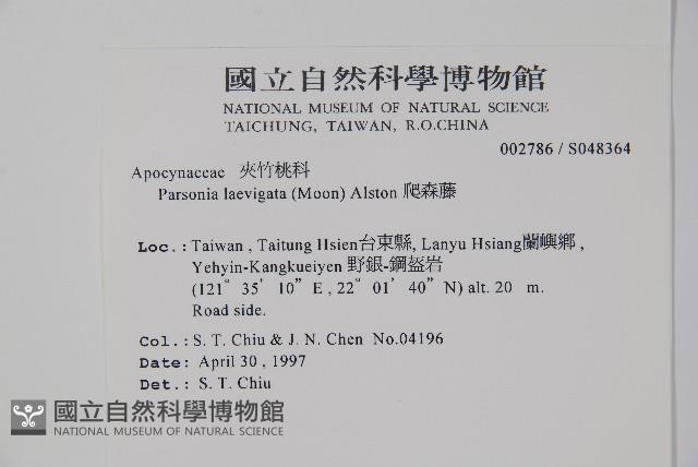 爬森藤藏品圖，第2張