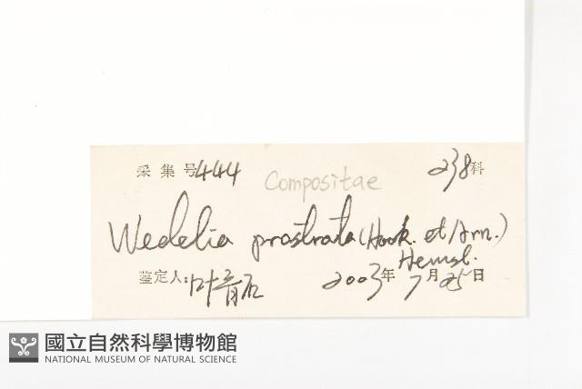 天蓬草舅藏品圖，第3張