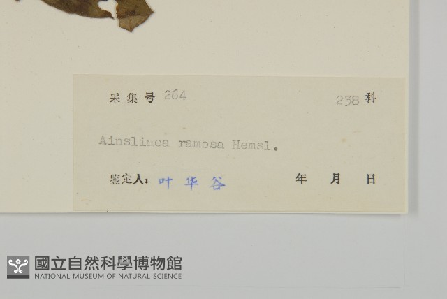 蓮沱兔兒風藏品圖，第3張