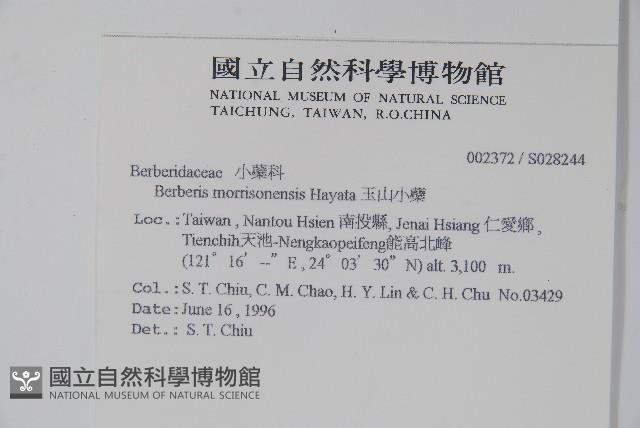 玉山小蘗藏品圖，第2張