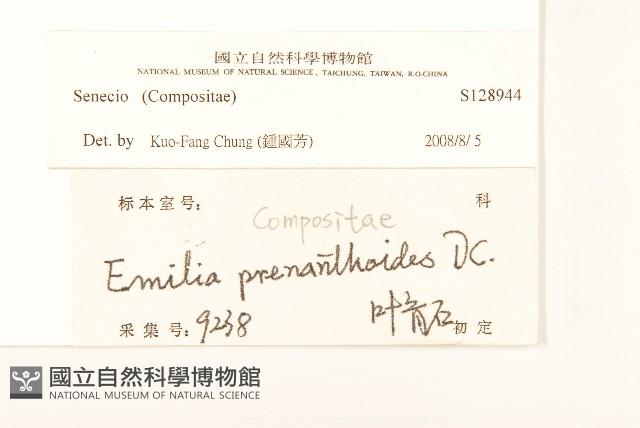 登錄號:S128944藏品圖，第3張