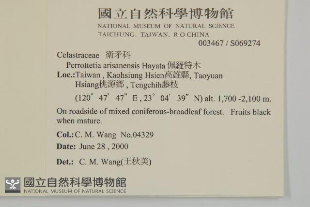 佩羅特木藏品圖，第2張