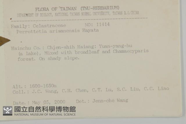 佩羅特木藏品圖，第2張