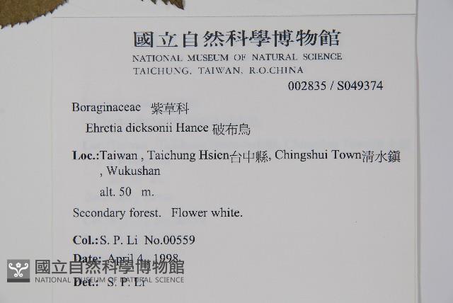 破布烏藏品圖，第2張