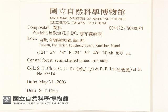 雙花蟛蜞菊藏品圖，第2張