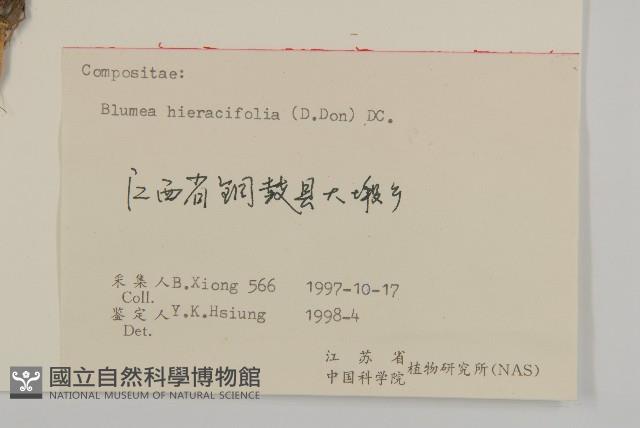 毛將軍藏品圖，第3張