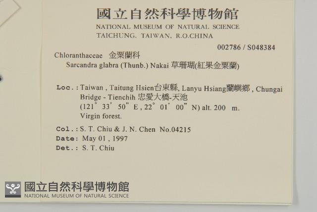 草珊瑚、紅果金粟蘭藏品圖，第2張