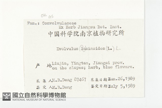 土丁桂藏品圖，第2張