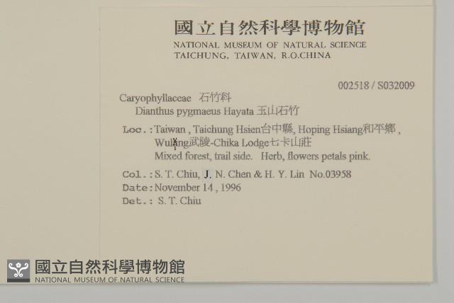 玉山石竹藏品圖，第2張