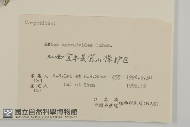 山白蘭藏品圖，第3張