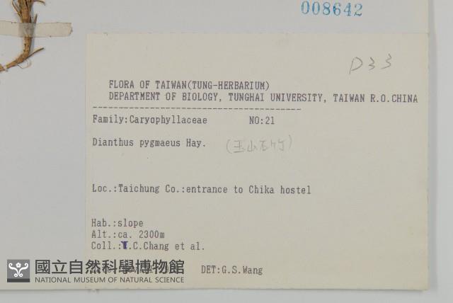 玉山石竹藏品圖，第2張