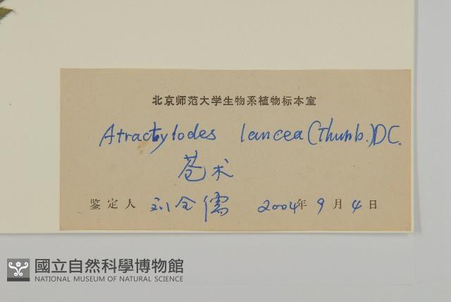 蒼朮、茅朮藏品圖，第3張