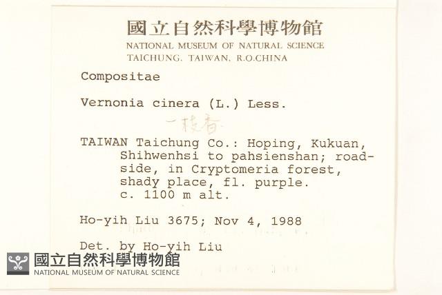 一枝香藏品圖，第2張