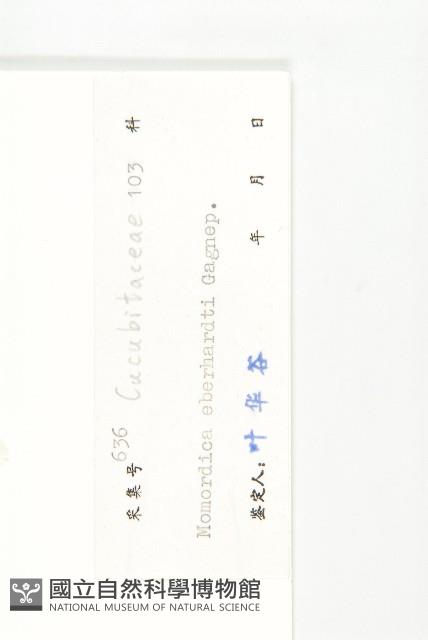 登錄號:S040319藏品圖，第3張