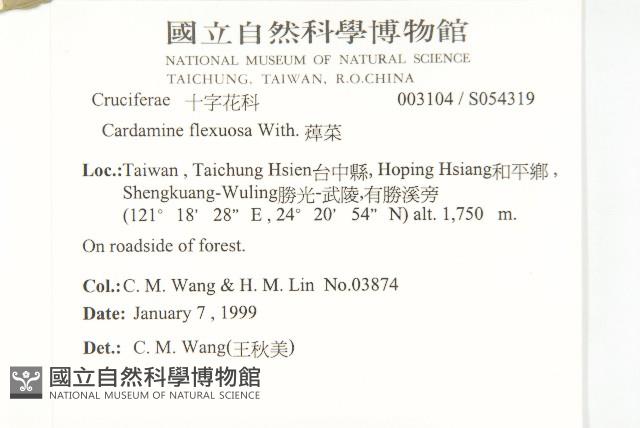 焊菜藏品圖，第2張