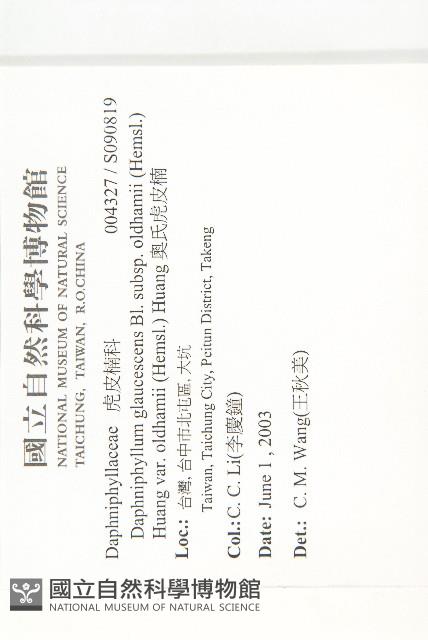 奧氏虎皮楠藏品圖，第2張