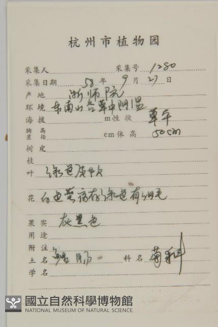 鱧腸藏品圖，第2張