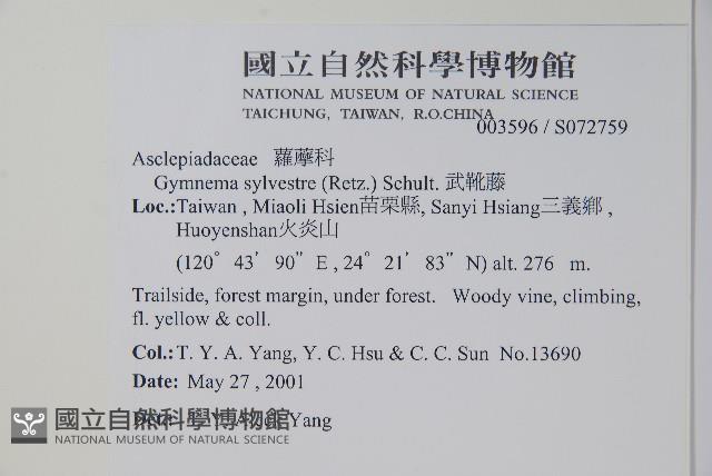 武靴藤藏品圖，第2張