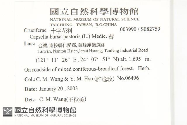 薺藏品圖，第2張