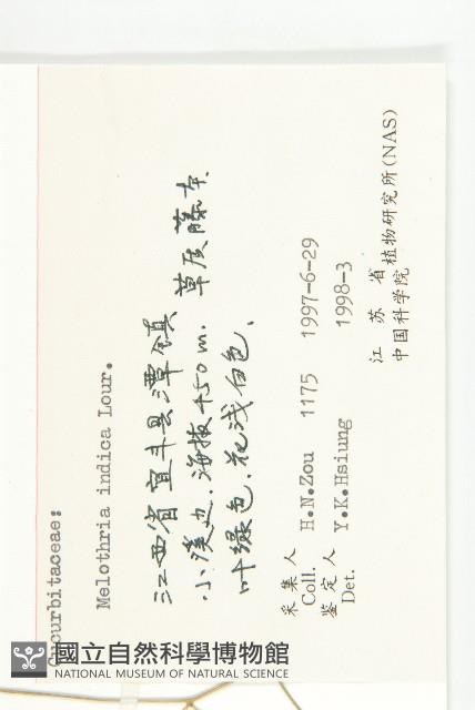 老鼠冬瓜藏品圖，第3張