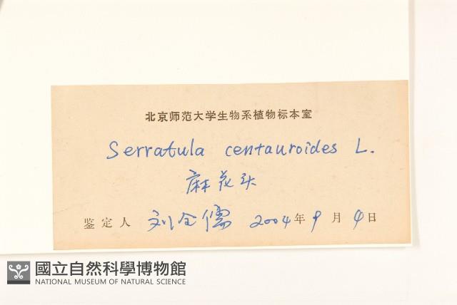 麻花頭藏品圖，第3張