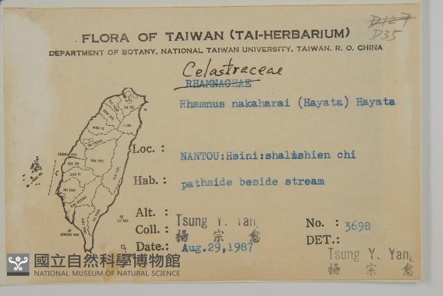 佩羅特木藏品圖，第2張