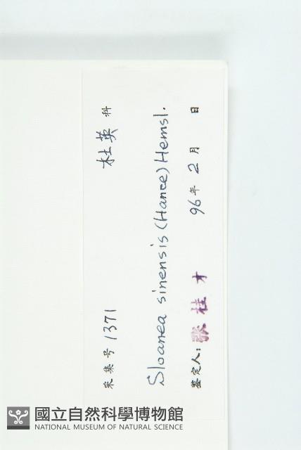 猴歡喜藏品圖，第3張