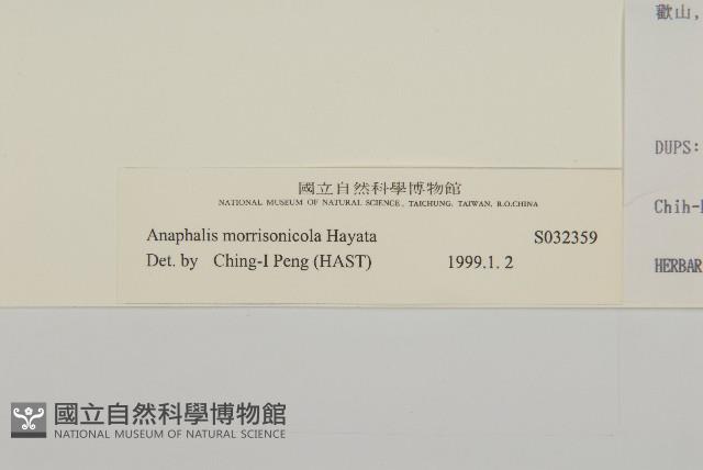 玉山抱莖籟簫藏品圖，第3張