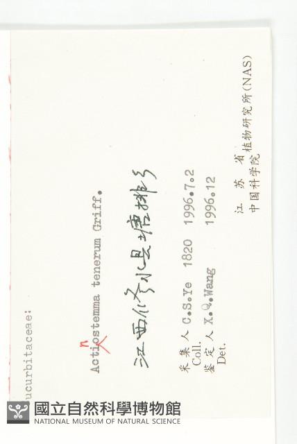 合子草藏品圖，第3張