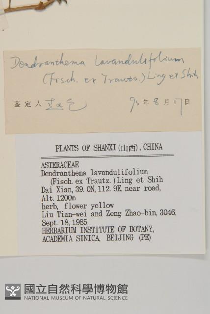 姜菱菊藏品圖，第3張