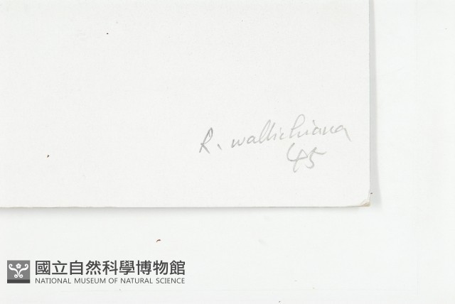 登錄號:S021959藏品圖，第3張