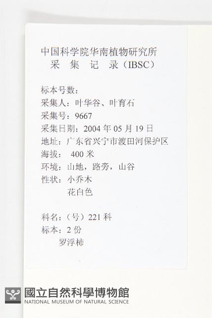 山紅柿藏品圖，第2張