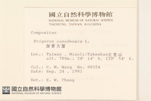 加拿大蓬藏品圖，第2張