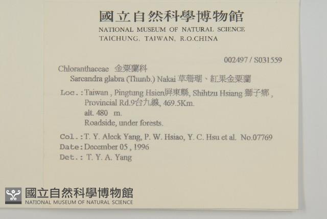 Glabrous Herbcoral Collection Image, Figure 2, Total 2 Figures