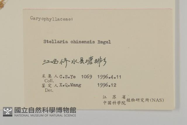 中國繁縷藏品圖，第3張