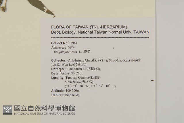 鱧腸藏品圖，第2張