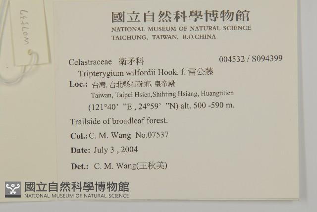 雷公藤藏品圖，第2張