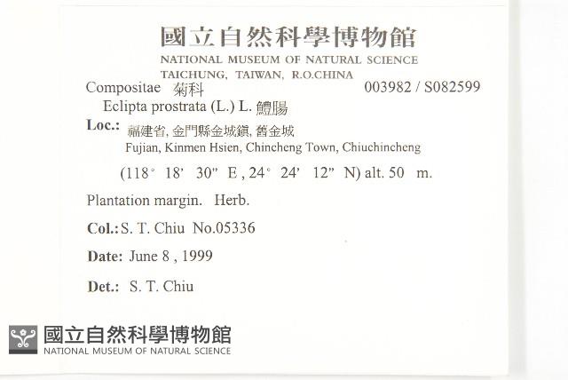 鱧腸藏品圖，第2張