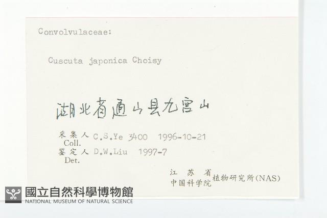 日本菟絲子藏品圖，第3張