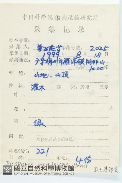 山紅柿藏品圖，第2張