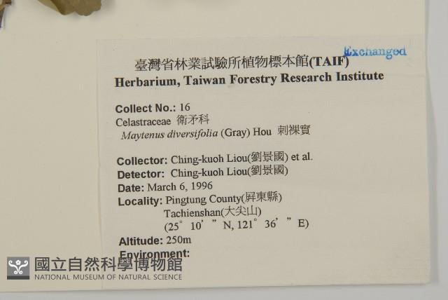 北仲, 刺裸實藏品圖，第2張