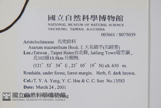 大花細辛、馬蹄香藏品圖，第2張