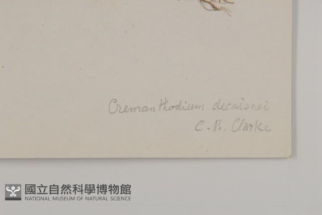 登錄號:S022739藏品圖，第3張