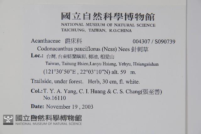 針刺草藏品圖，第2張